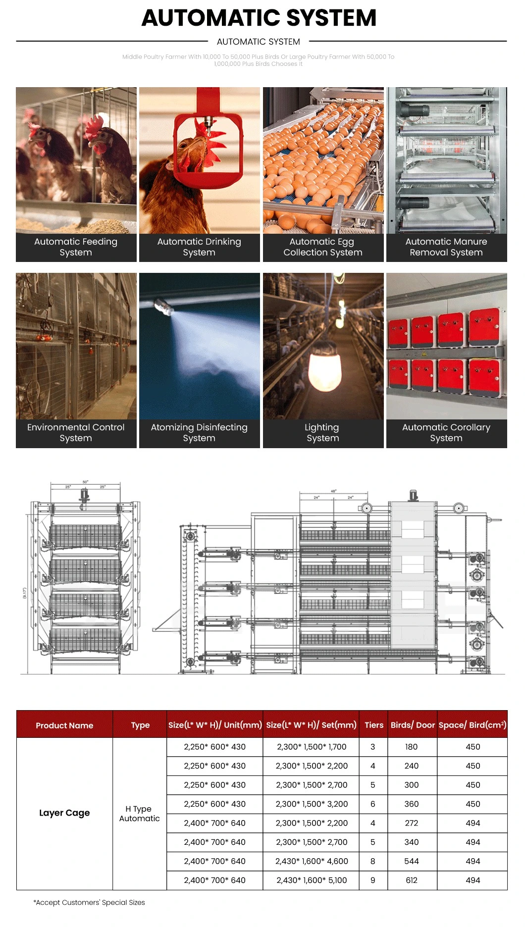 Bestchickencage H Type Breeder Cage Layer Cage China Free Range Chicken Layer Coop Supplier OEM Customized Easily Clean Layer Cages Egg Chicken Poultry Farm