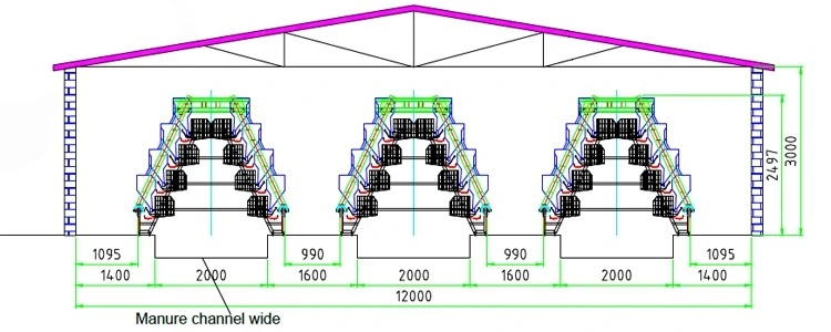 3 Tier 96 Capacity Chicken Layer Poultry Farm Design