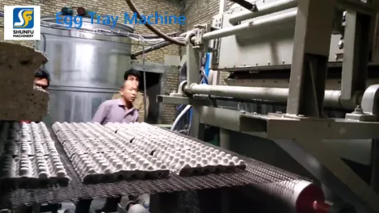 Rivestimento per macchine per la produzione di uova realizzato con il riciclo della carta straccia