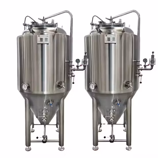 Recipiente per fermentare il vino in acciaio inossidabile da 500 l 1000 l con fondo conico, serbatoio di fermentazione luminoso da 5 bbl 10 bbl
