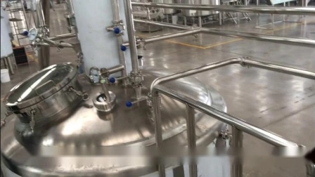 Cassman 2 Vessel Brewhouse System Attrezzatura per la produzione di birra da 500 litri per pub